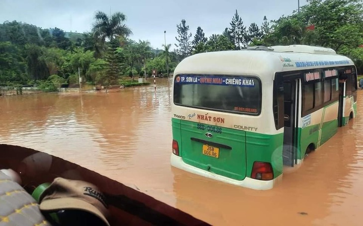 Phố núi Sơn La ngập sâu sau mưa lớn, lũ ở huyện cuốn trôi trâu