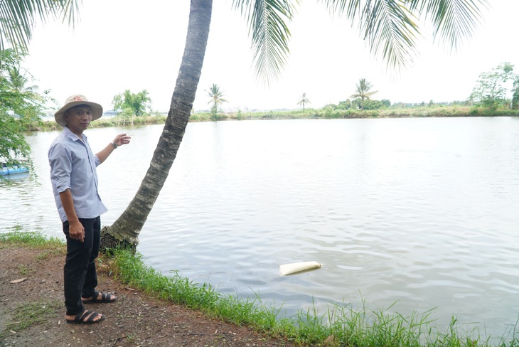 Thu hồi đất đang nuôi cá tra nguyên liệu: chủ hồ "khóc" vì đã đầu tư hàng chục tỉ đồng