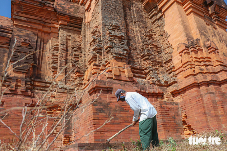 Những lúc rảnh, ông Đạo Văn Tế, nhân viên bảo vệ khu di tích tháp Hòa Lai, mới dọn vệ sinh quanh chân tháp - Ảnh: DUY NGỌC