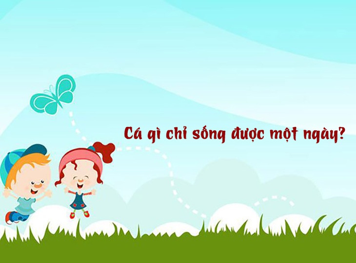 Câu đố hack não: Cái gì biết lỗ nhiều nhưng vẫn bán? - Ảnh 10. Câu đố hack não: Cái gì biết lỗ nhiều nhưng vẫn bán? - Ảnh 10.