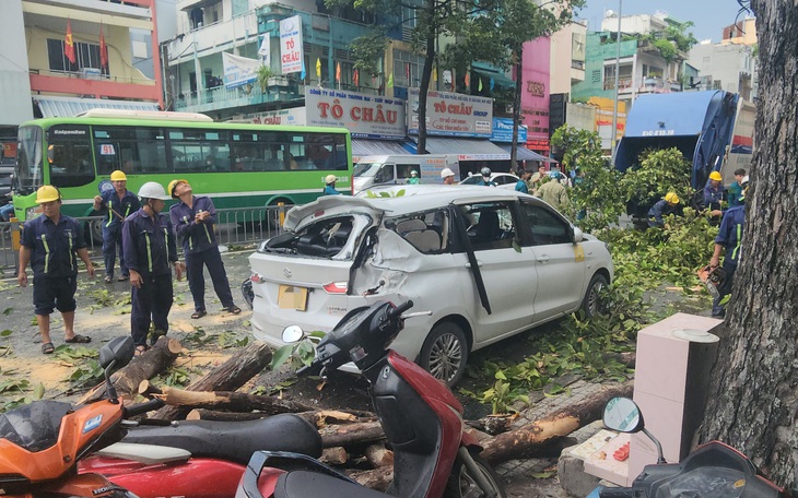 TP.HCM: Cây dầu gãy ngọn đè ô tô, xe máy trên đường