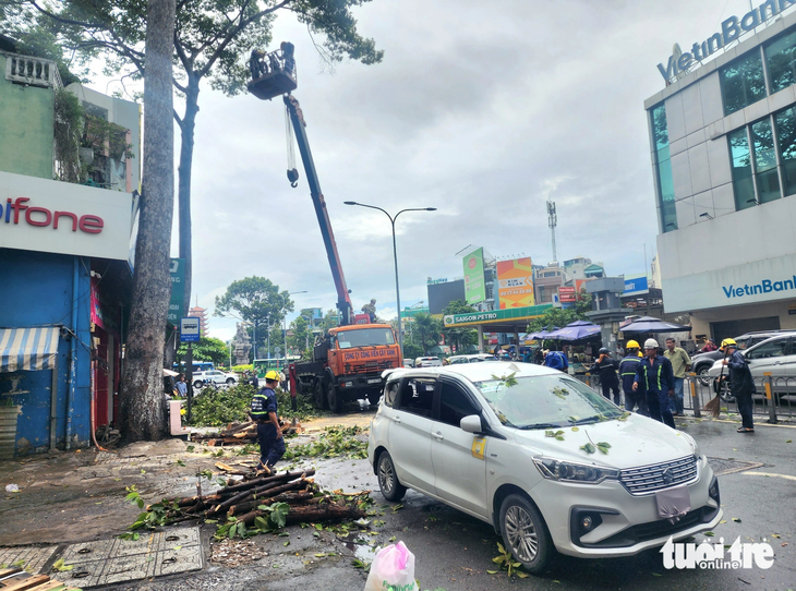 Khu vực Nam Bộ cần chú ý dông lốc xảy ra trong thời tiết mưa gây nguy hiểm. Ảnh chụp cây xanh bị gió quật gãy ngọn tại TP.HCM ngày 24-7 - Ảnh: NGỌC KHẢI