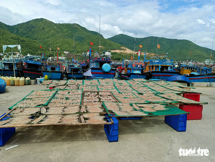 Khu nơi neo đậu tàu thuyền ngư dân phơi các loại cá bốc mùi khiến nhiều du khách than vãn - Ảnh: MINH CHIẾN