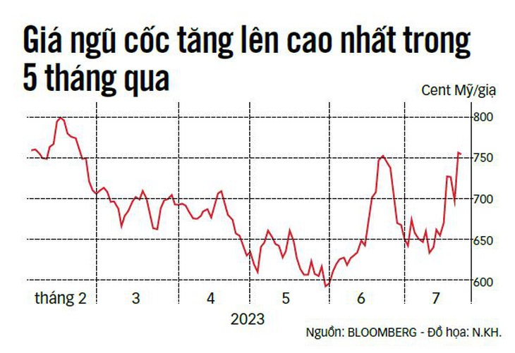 Những hạt giống chống đói - Ảnh 2.