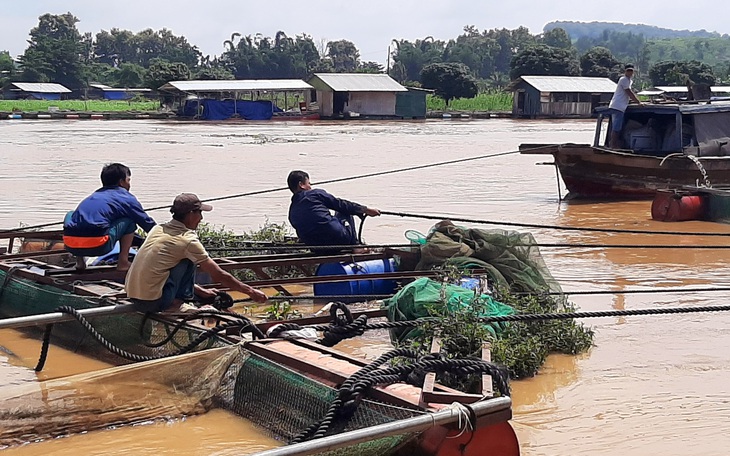 Hạ lưu sông Đồng Nai nguy cơ ngập lụt, đỉnh triều cường lúc 19h tối nay - Ảnh 1.