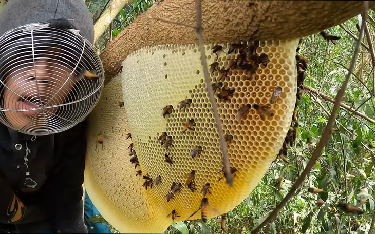 Cà Mau phê duyệt phát triển du lịch sinh thái U Minh Hạ hơn 1.300ha - Ảnh 2.