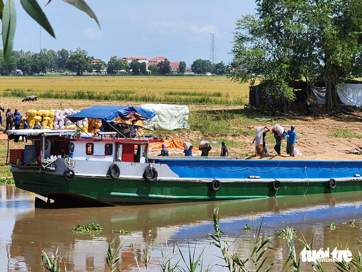 Ghe của thương lái thu mua lúa hè thu của nông dân nằm cặp kênh Vĩnh Tế, đoạn phường Tịnh Biên, thị xã Tịnh Biên, tỉnh An Giang - Ảnh: BỬU ĐẤU