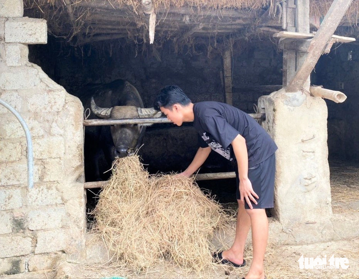 Thời điểm này bố mẹ Thắng đều ở bệnh viện nên em ở nhà trông coi, chăm sóc vật nuôi - Ảnh: H.A.