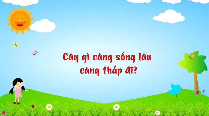 Câu đố hack não: Một xương sống, một đống xương sườn, là cái gì? - Ảnh 7.