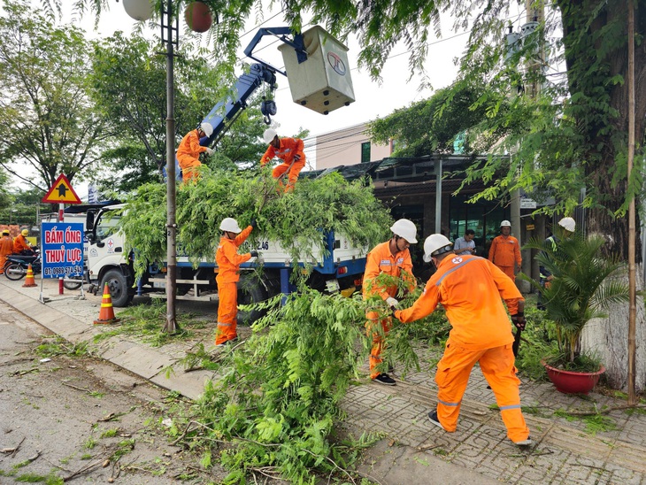 Điện lực Bến Tre phát quang cây xây để ngăn ngừa sự cố lưới điện co mưa bão- Ảnh: Cty cung cấp