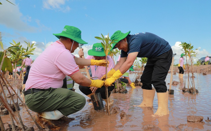 C.P. Việt Nam khởi động dự án trồng cây bảo vệ đa dạng sinh học trang trại nuôi tôm