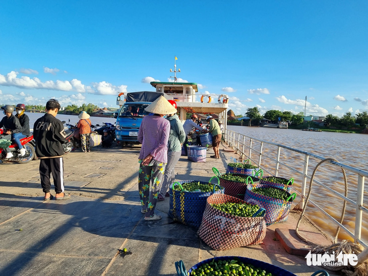 Bến phà An Phước, huyện Mang Thít, tỉnh Vĩnh Long tiếp tục công khai vi phạm khi chở ô tô tải - Ảnh: TỐNG KHOA