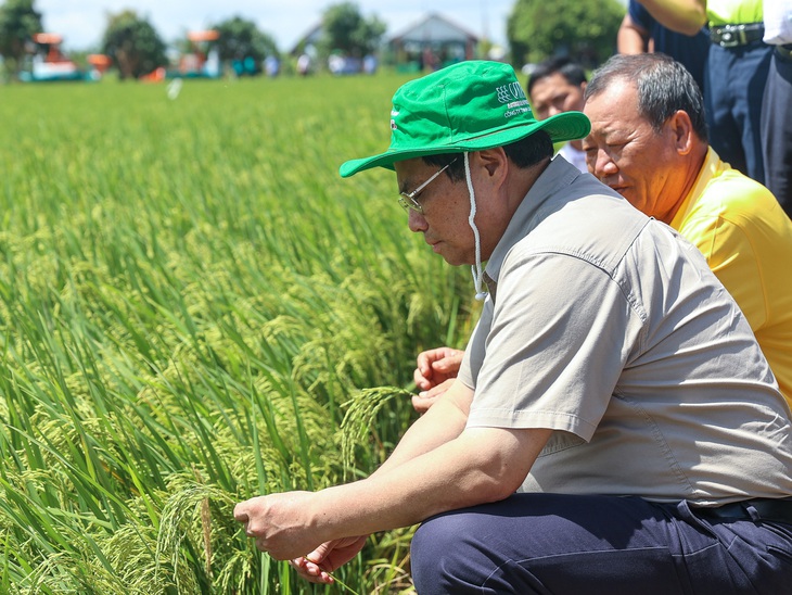 Thủ tướng khảo sát mô hình nông nghiệp công nghệ cao ở ấp 5, xã Mỹ Đông, huyện Tháp Mười - Ảnh: VGP