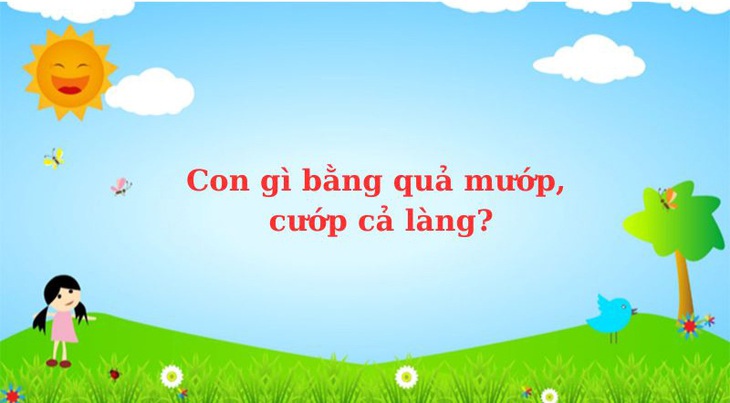Câu đố hack não: Con gì có đuôi ở phía trước? - Ảnh 4. Câu đố hack não: Con gì có đuôi ở phía trước? - Ảnh 4.