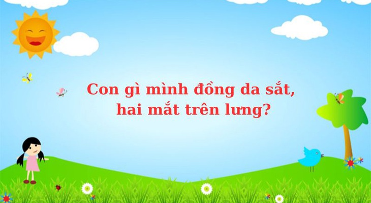 Câu đố hack não: Cái gì lưng trước, bụng sau? - Ảnh 4.