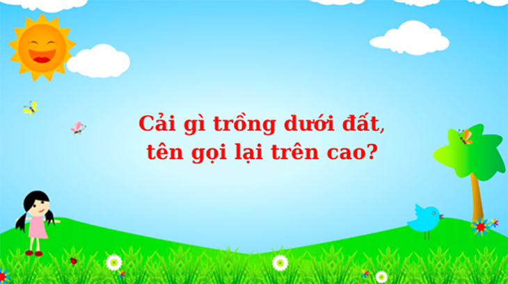 Câu đố hack não: Cái gì không chạy nhưng ai cũng nói nhanh? - Ảnh 4.