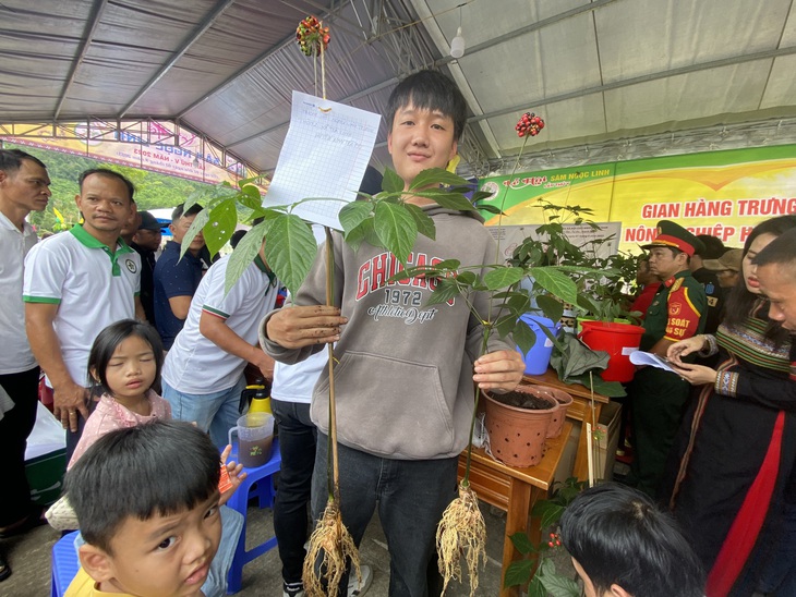 Sâm Ngọc Linh - Ảnh: LÊ TRUNG