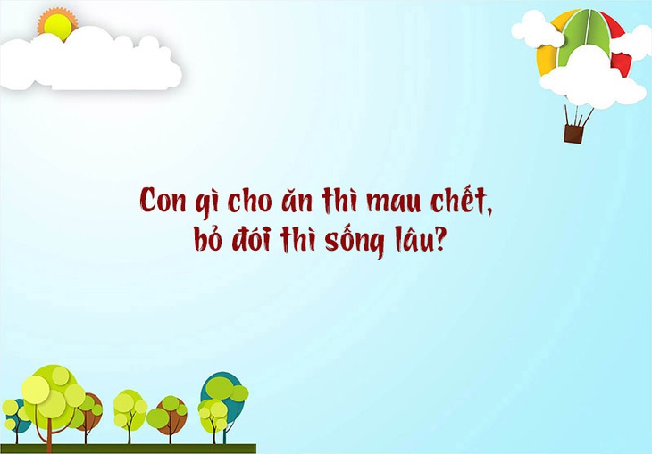 Câu đố hack não: Con gì cho ăn thì mau chết, bỏ đói thì sống lâu? - Ảnh 1. Câu đố hack não: Con gì cho ăn thì mau chết, bỏ đói thì sống lâu? - Ảnh 1.