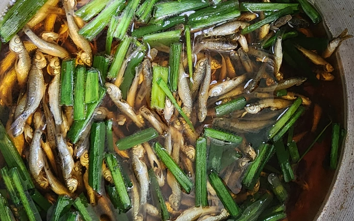 Đã có cá linh đầu non ở đầu nguồn biên giới với giá 250.000 đồng/kg - Ảnh 2.