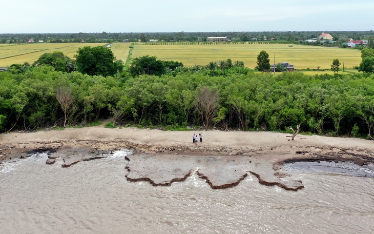 Đê biển Tây 