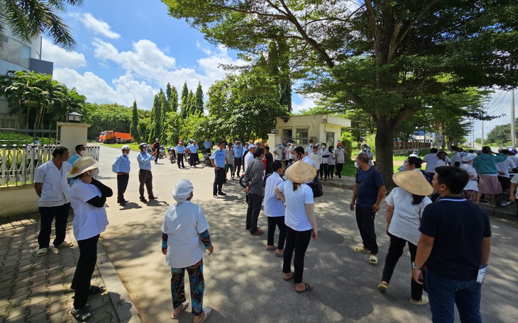 Khu công nghiệp của Tập đoàn Tân Tạo ngắt ống xả thải của doanh nghiệp để đòi nợ