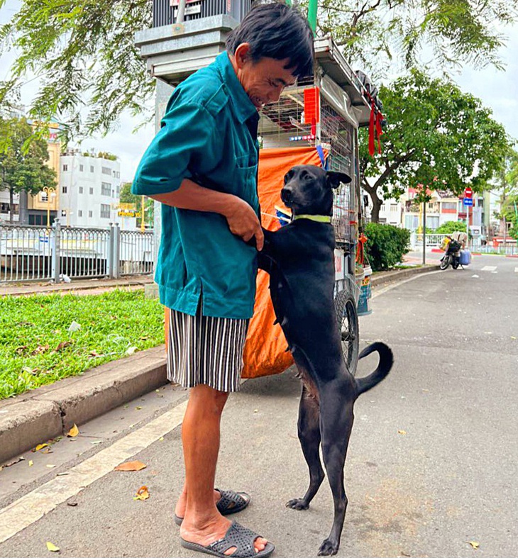 Nhiều người thời nay không ăn thịt chó vì xem là thú cưng nghĩa tình với con người - Ảnh: YẾN TRINH