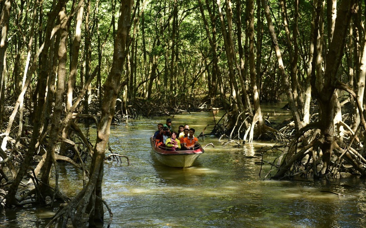 Bốn tiêu chí triển vọng giúp rừng phòng hộ Cần Giờ thành khu Ramsar