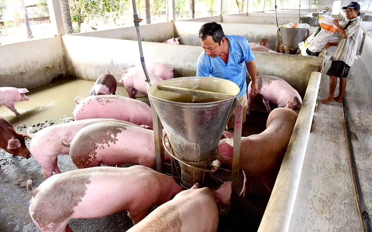 Nhiều nước xây dựng nền kinh tế hydro - Ảnh 3.