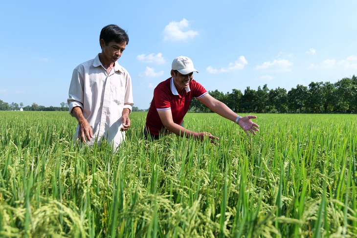 Người nông dân cần được phổ cập các tiến bộ khoa học kỹ thuật mới vào sản xuất - Ảnh: Công ty cung cấp