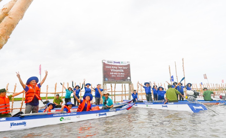 Khu vực khoanh nuôi tái sinh rừng ngập mặn có diện tích 25 hecta do Vinamilk, Gaia chung tay thực hiện tại vùng lõi Vườn quốc gia Mũi Cà Mau - Ảnh: NGUYỄN HIỆU