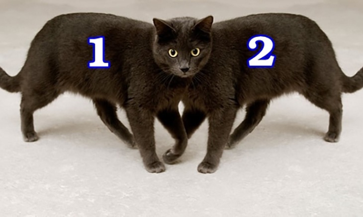 Câu đố hack não: Từ 1 đến 9, số nào trừ đi một nửa bằng 0? - Ảnh 4. Câu đố hack não: Từ 1 đến 9, số nào trừ đi một nửa bằng 0? - Ảnh 4.