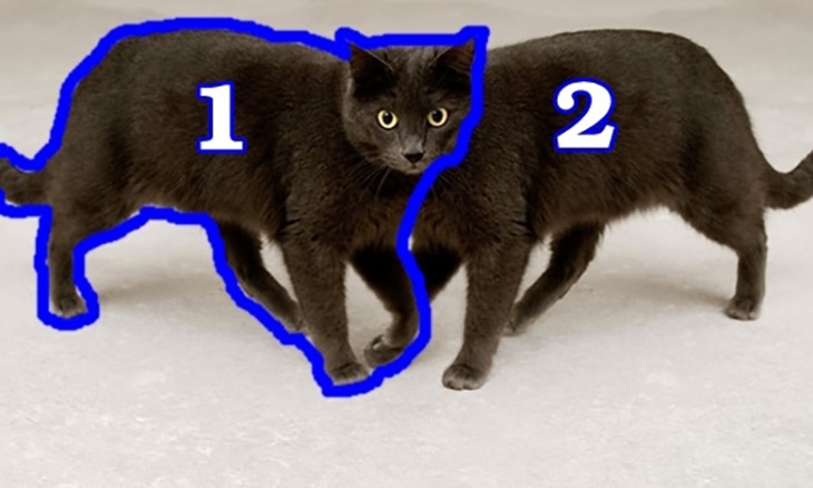 Câu đố hack não: Từ 1 đến 9, số nào trừ đi một nửa bằng 0? - Ảnh 1. Câu đố hack não: Từ 1 đến 9, số nào trừ đi một nửa bằng 0? - Ảnh 1.