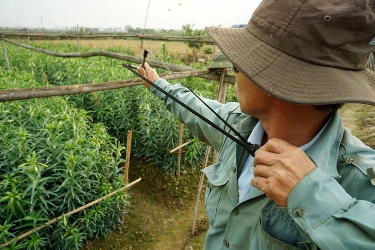 Thừa Thiên Huế đề nghị phật tử không mua bán chim trời để thả phóng sinh dịp Vu lan năm nay - Ảnh: NGỌC MINH