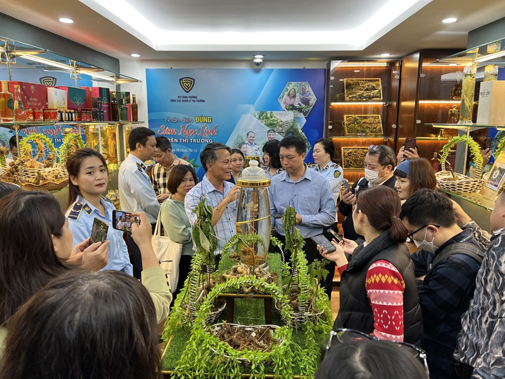 Nhiều ý kiến cho rằng ông Võ Kim Cự làm trưởng ban vận động thành lập Hiệp hội sản xuất sâm Việt Nam là chưa thuyết phục. Trong ảnh: Trưng bày với chuyên đề “Nhận diện đúng sâm Ngọc Linh trên thị trường” do Tổng cục Quản lý thị trường tổ chức vào tháng 4-2023 - Ảnh: VÕ TRUNG MẠNH