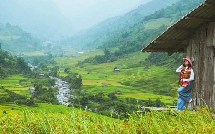 Mùa lúa chín đổ vàng triền núi Sa Pa