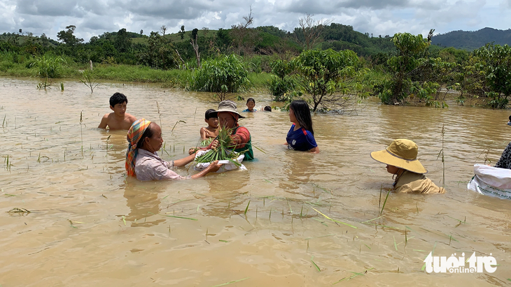 Người dân trong lòng hồ Krông Pách Thượng chưa di tản hết, hoa màu của họ hay bị ngập mỗi khi mùa mưa đến - Ảnh: TRUNG TÂN