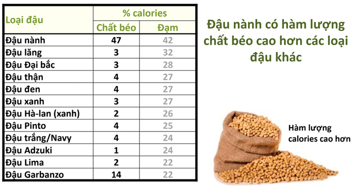 Theo tiến sĩ Mark Messina, dinh dưỡng từ đậu nành cao hơn và chất lượng hơn so với các loại đậu khác