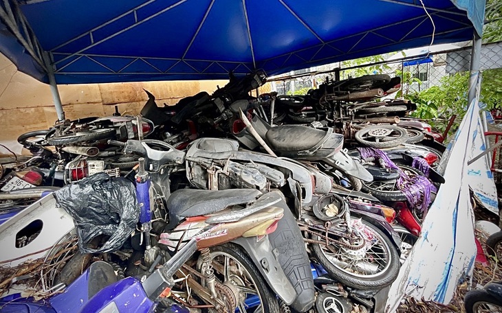 Chủ tịch cấp xã tại TP.HCM được phê duyệt xử lý tang vật vi phạm - Ảnh 3.