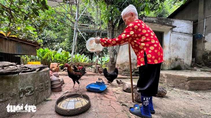 Ngày ngày, cụ vẫn vui vẻ tự ra thăm vườn, chăm đàn gà mái đẻ - Ảnh: YẾN TRINH