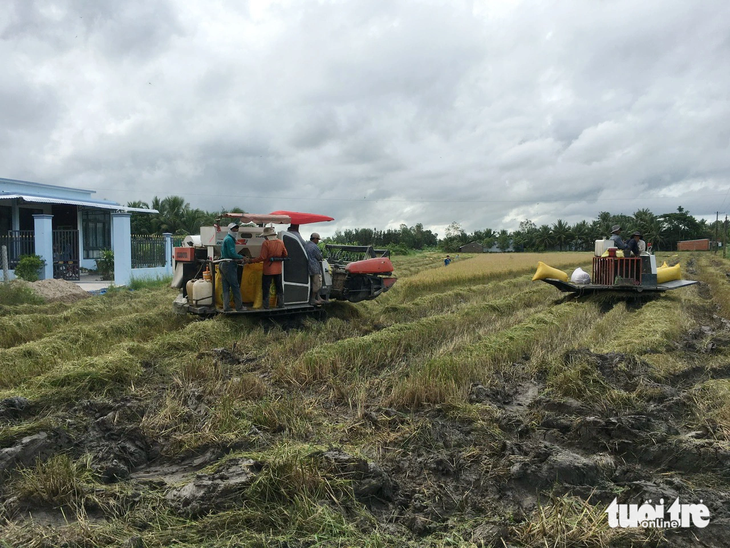 Yêu cầu xác nhận là nông dân dù triển khai không thống nhất, chưa hợp lý nhưng vẫn tồn tại hàng chục năm qua - Ảnh: MINH ANH