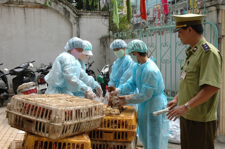 Bộ Nông nghiệp và Phát triển nông thôn đề nghị Bộ Công an cùng nhiều tỉnh thành vào cuộc, ngăn chặn gia cầm nhập lậu - Ảnh tư liệu