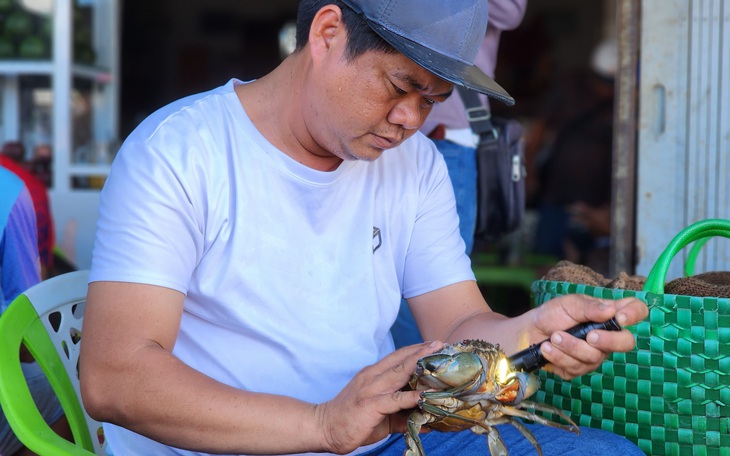 Giá cua biển tại miền Tây nơi tăng, nơi giảm trong dịp Noel? - Ảnh 2.