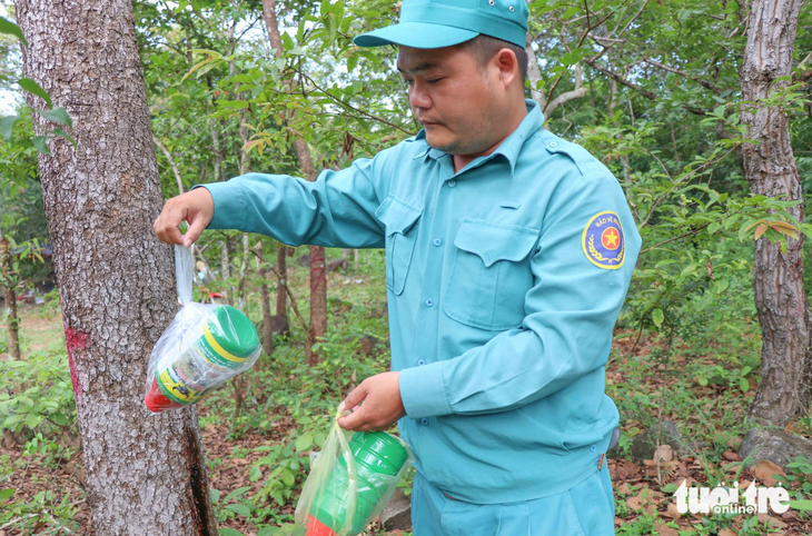 Vỏ thuốc trừ cỏ hiệu Trâu Đen thu được tại hiện trường rừng bị đầu độc - Ảnh: DUY NGỌC