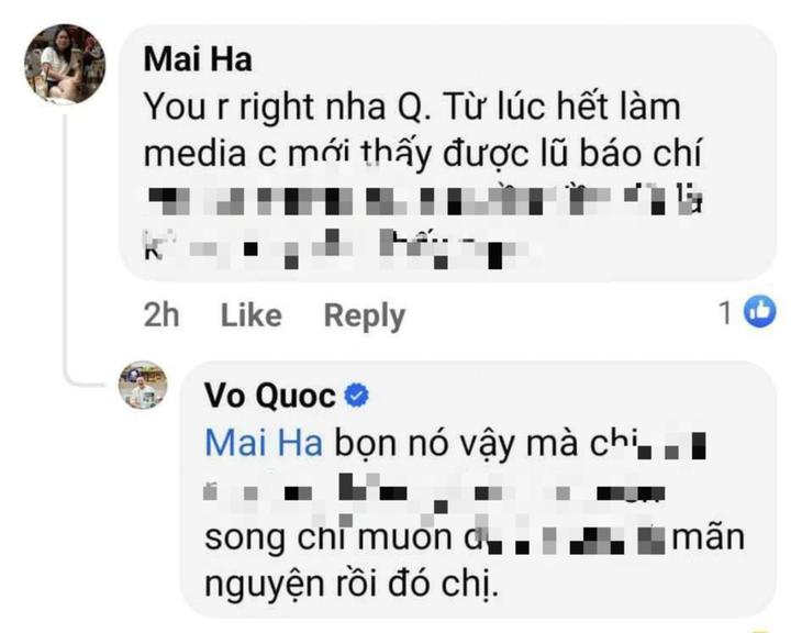 Một comment dưới status chửi bới của Vo Quoc