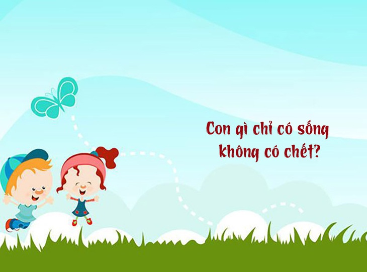 Câu đố hack não: Con gì chỉ có sống không có chết? - Ảnh 1. Câu đố hack não: Con gì chỉ có sống không có chết? - Ảnh 1.
