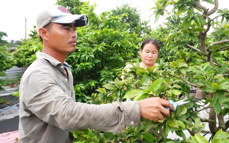 Giải bài toán thoát nghèo cùng bạn trẻ Cơ Tu - Ảnh 3.