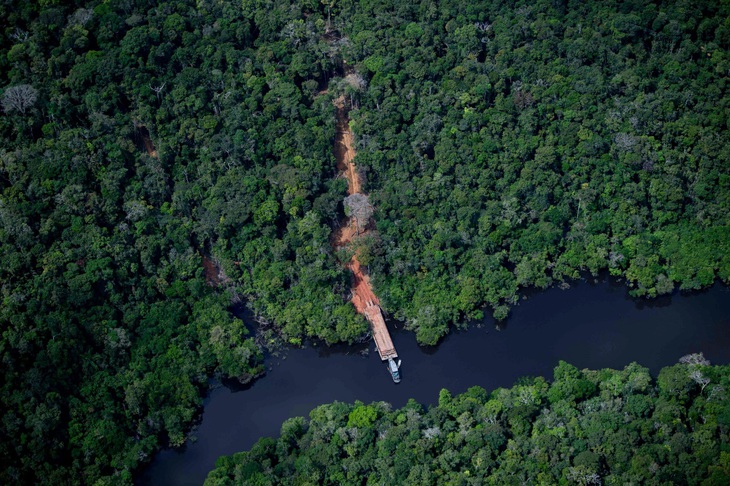 Rừng nhiệt đới Amazon, ở bang Amazonas, Brazil vào ngày 6-6-2022. Ảnh: afp.com