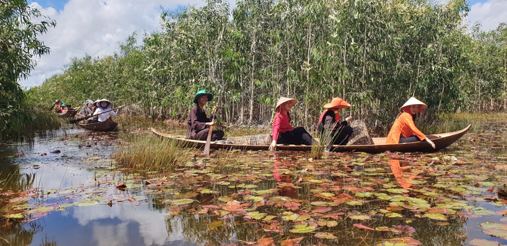 Du khách trải nghiệm du lịch vùng rừng U Minh Hạ - Ảnh: THANH HUYỀN