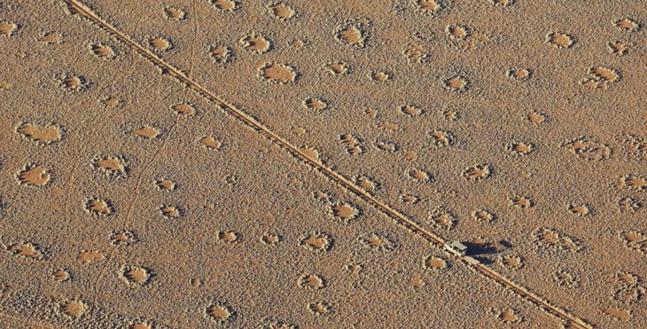 Các 'vòng tròn cổ tích' có thể kéo dài hàng trăm km ở rìa sa mạc Namib thuộc Namibia - Ảnh: SHUTTERSTOCK