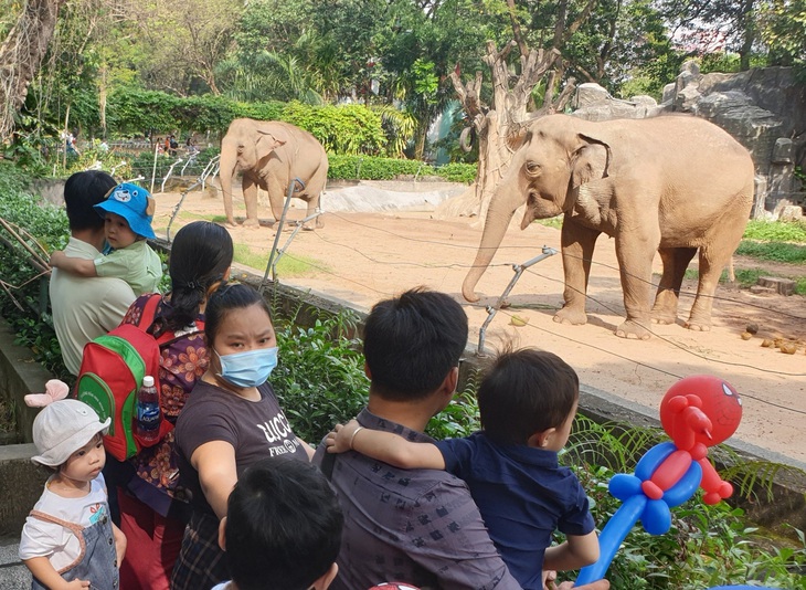 Thảo cầm viên thường thu hút đông đảo du khách dịp nghỉ lễ - Ảnh: N.TRÍ